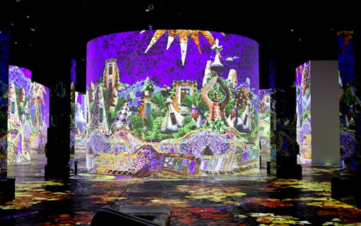 Infinity des Lumières digital art exhibit with vibrant projections in Dubai.