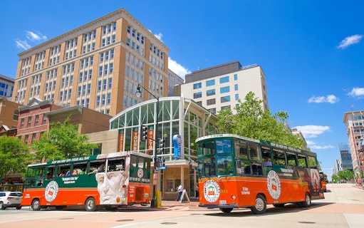 Old Town Trolley buses in Washington DC near historic buildings.