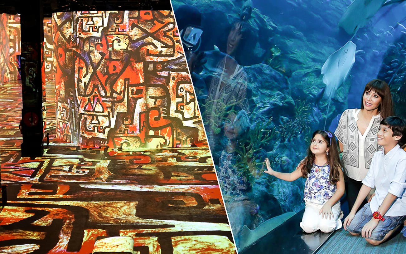 Infinity des Lumières digital art display and family viewing marine life at Dubai Aquarium.