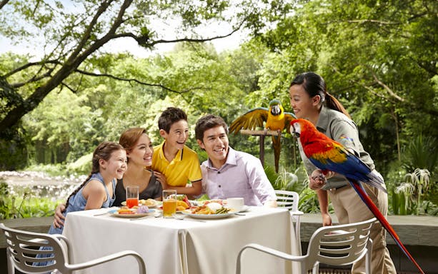 Family dining with colorful parrots at Jurong Bird Park.