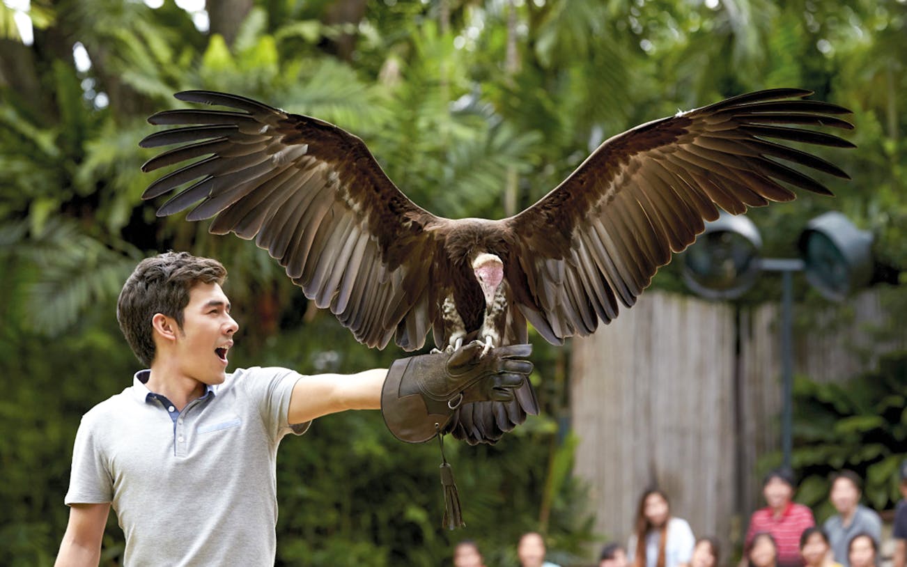 Man holding a bird of prey at Jurong Bird Park.