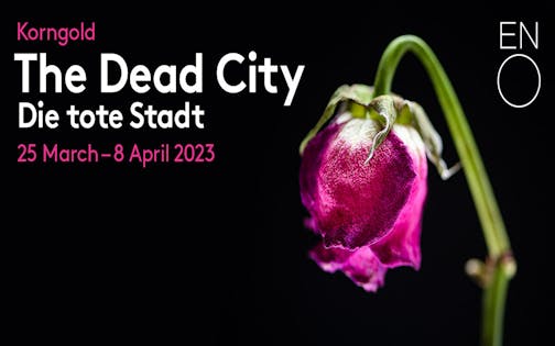 The Dead City