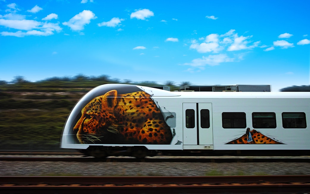KLIA Ekspres train with leopard artwork on the side, Malaysia.