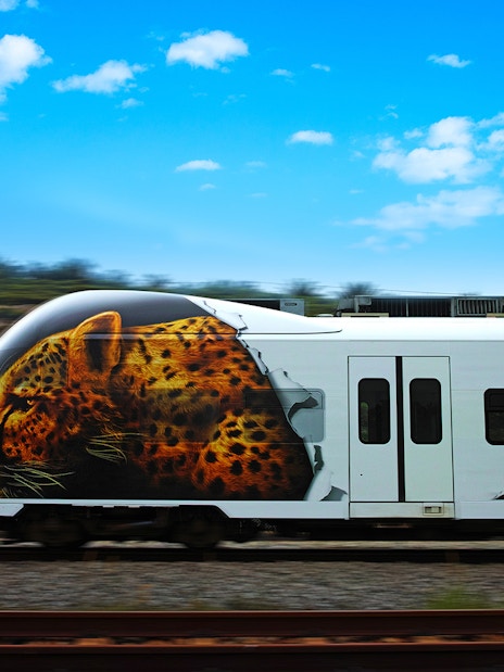 KLIA Ekspres train with leopard artwork on the side, Malaysia.