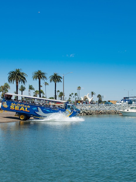 Amphibious vehicle entering water on San Diego SEAL Tour with palm trees in background.