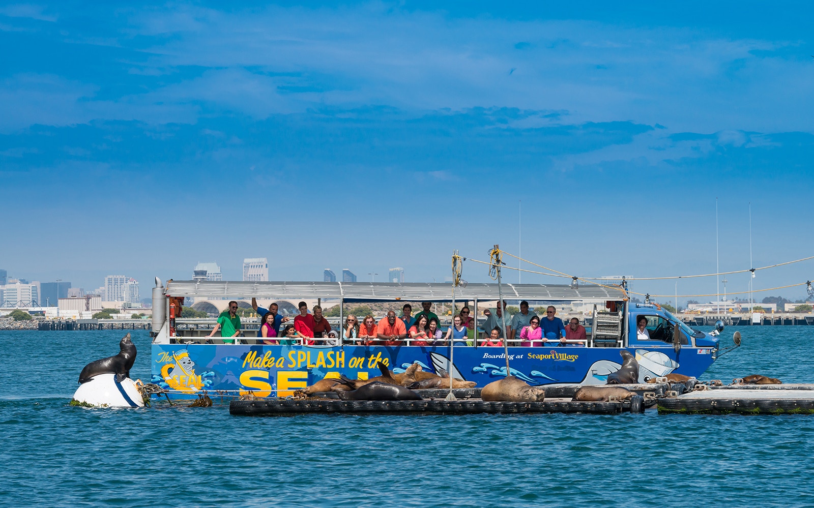 Tourists on San Diego SEAL Tour boat watching sea lions on floating platform.
