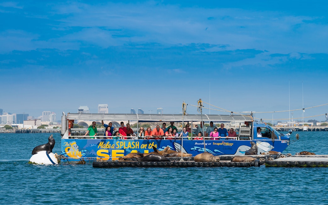 Tourists on San Diego SEAL Tour boat watching sea lions on floating platform.