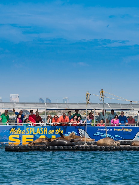 Tourists on San Diego SEAL Tour boat watching sea lions on floating platform.