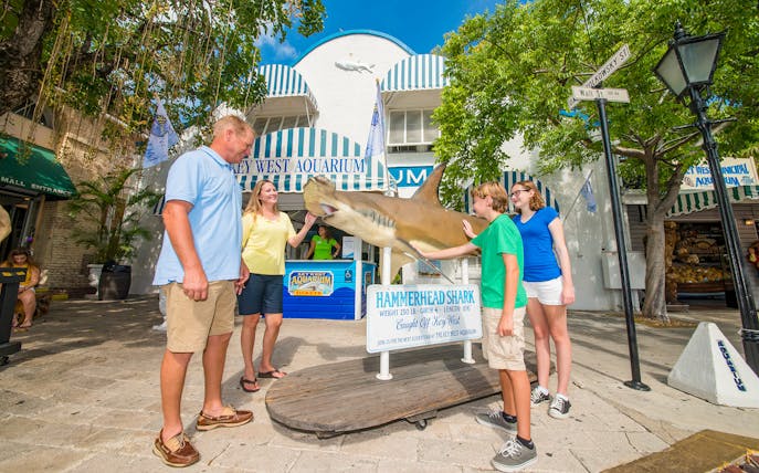 Visitors interacting with a hammerhead shark display at Key West Aquarium entrance.