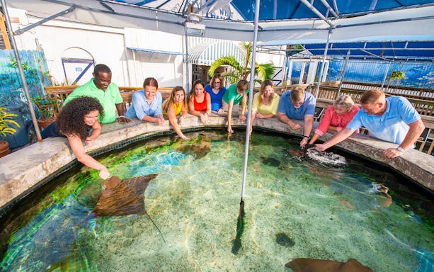 Visitors interacting with stingrays at Key West Aquarium touch tank.