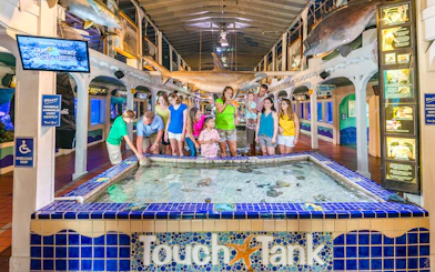 Visitors interacting with marine life at the Key West Aquarium touch tank.