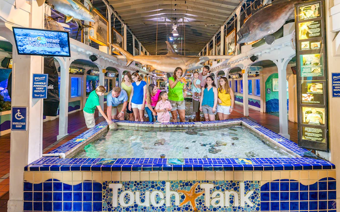 Visitors interacting with marine life at the Key West Aquarium touch tank.