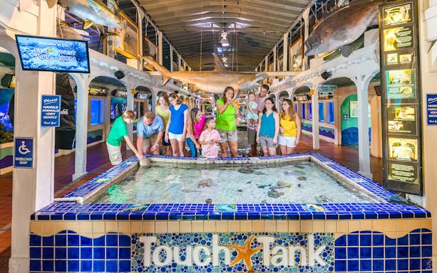 Visitors interacting with marine life at the Key West Aquarium touch tank.