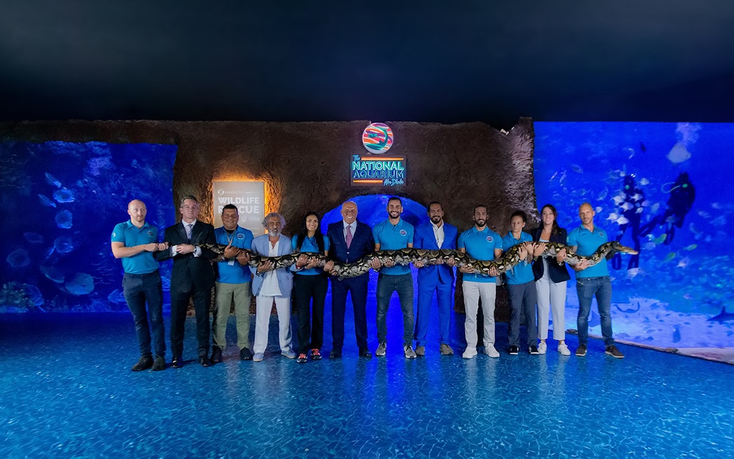 Group holding a large snake at National Aquarium Abu Dhabi's Beyond The Glass Experience.