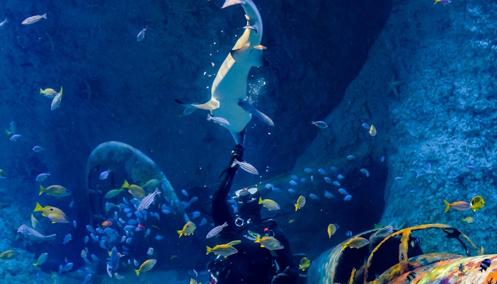 Beyond the glass experience (General admission + Beyond the glass)