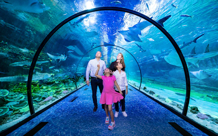 Family exploring underwater tunnel at National Aquarium Abu Dhabi with sharks and rays overhead.