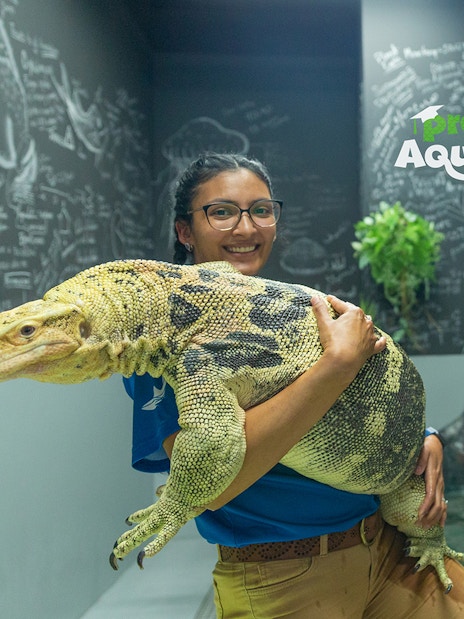Person holding a large lizard at National Aquarium Abu Dhabi's Beyond The Glass Experience.