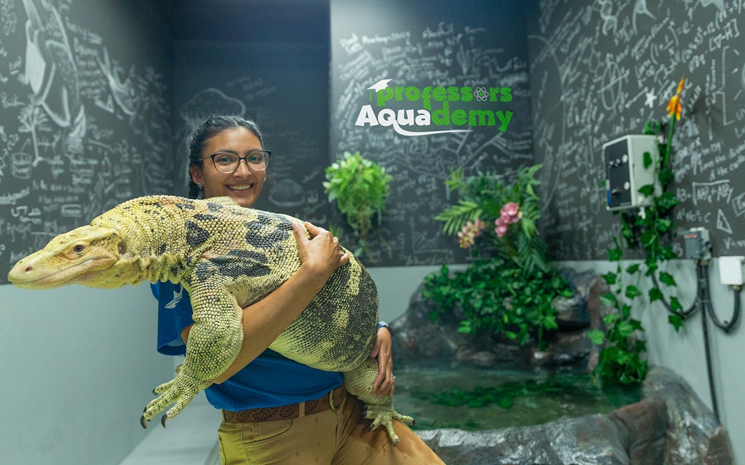 Person holding a large lizard at National Aquarium Abu Dhabi's Bu Tinah Dhow Experience.
