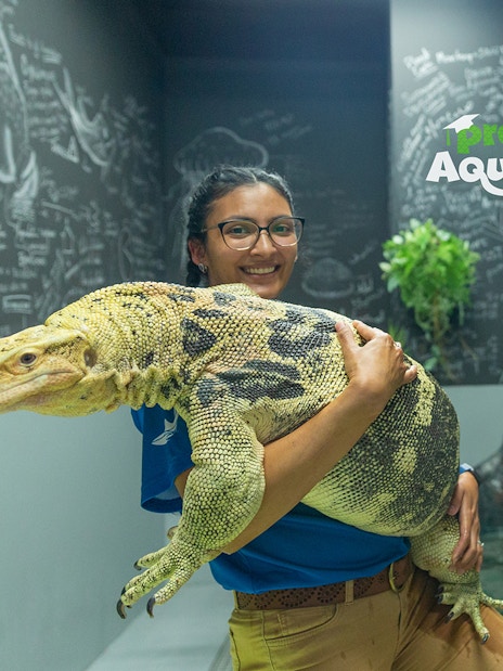 Person holding a large lizard at National Aquarium Abu Dhabi's Bu Tinah Dhow Experience.