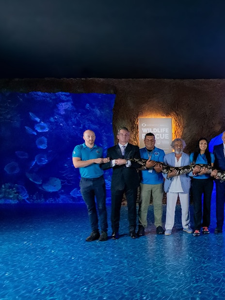 Group holding a large snake at National Aquarium Abu Dhabi, Bu Tinah Dhow Experience.