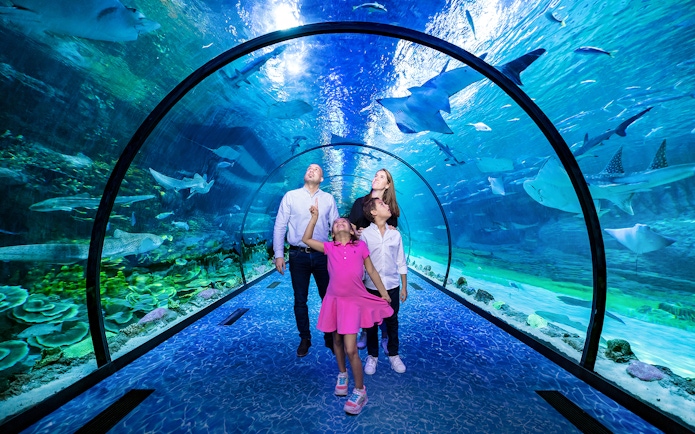 Family exploring underwater tunnel at National Aquarium Abu Dhabi with marine life above.