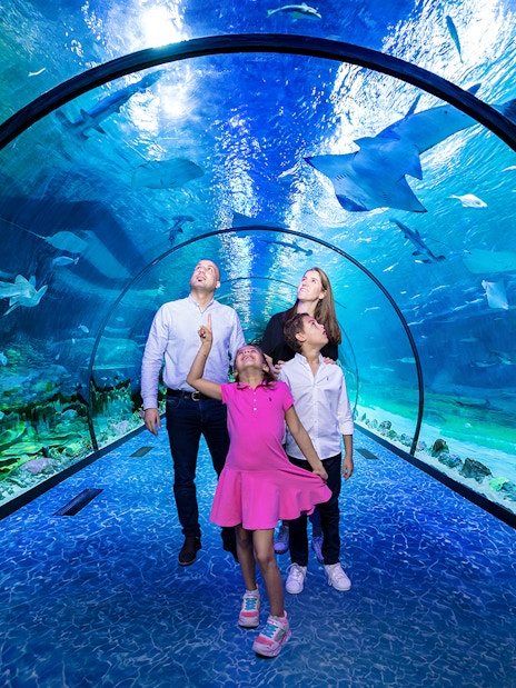 Family exploring underwater tunnel at National Aquarium Abu Dhabi with marine life above.