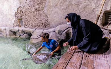 Caretaker interacting with a sea turtle at National Aquarium Abu Dhabi during Bu Tinah Dhow Experience.