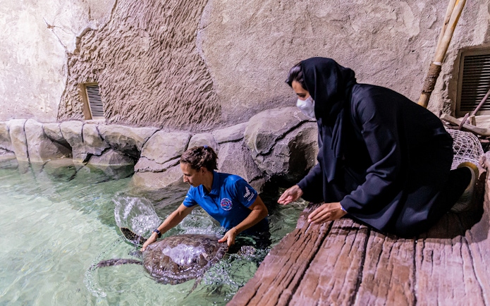 Caretaker interacting with a sea turtle at National Aquarium Abu Dhabi during Bu Tinah Dhow Experience.