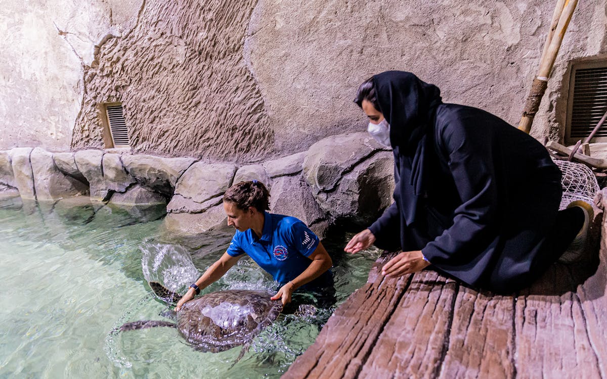 tickets to national aquarium abu dhabi with bu tinah dhow experience-12 tickets to national aquarium abu dhabi with bu tinah dhow experience-12