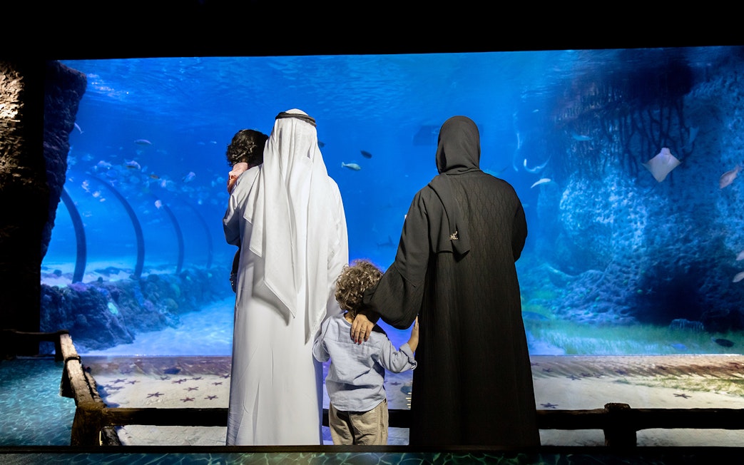 Family viewing marine life at National Aquarium Abu Dhabi.
