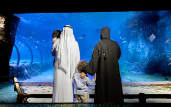 Family viewing marine life at National Aquarium Abu Dhabi.