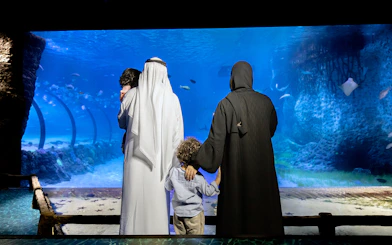Family viewing marine life at National Aquarium Abu Dhabi.