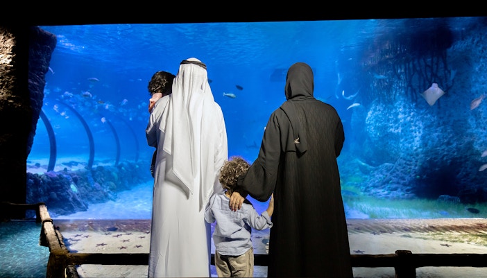 Bu Tinah Dhow experience (General admission + Glass bottom boat)