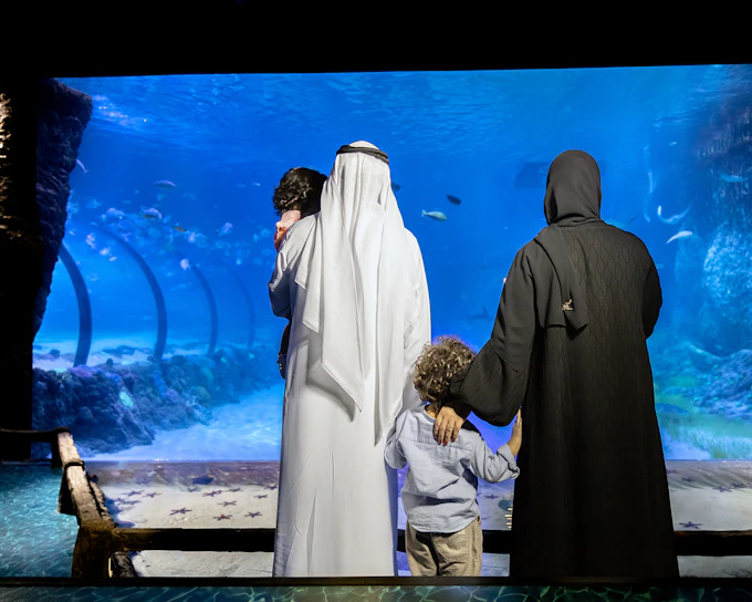 Tickets to National Aquarium Abu Dhabi with Bu Tinah Dhow Experience