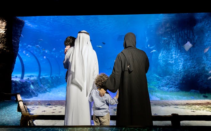 Family viewing marine life at National Aquarium Abu Dhabi.