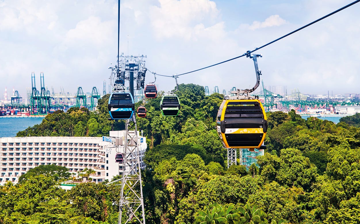 Cable cars over lush greenery with cityscape in the background, AJ Hackett Giant Swing experience.