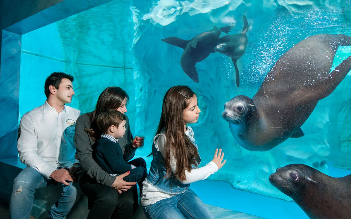combo: biglietti per gardaland park + gardaland sea life aquarium-14 combo: biglietti per gardaland park + gardaland sea life aquarium-14