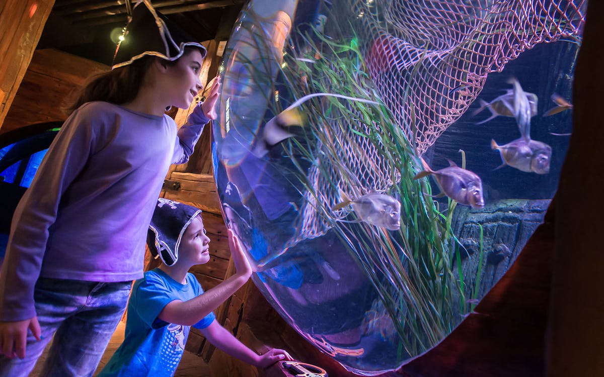 combo: biglietti per gardaland park + gardaland sea life aquarium-18 combo: biglietti per gardaland park + gardaland sea life aquarium-18