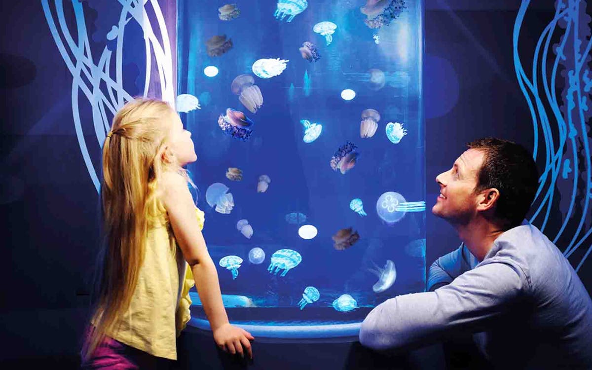 combo: biglietti per gardaland park + gardaland sea life aquarium-6 combo: biglietti per gardaland park + gardaland sea life aquarium-6