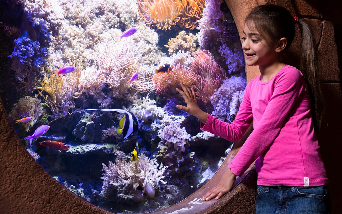 combo: biglietti per gardaland park + gardaland sea life aquarium-7 combo: biglietti per gardaland park + gardaland sea life aquarium-7