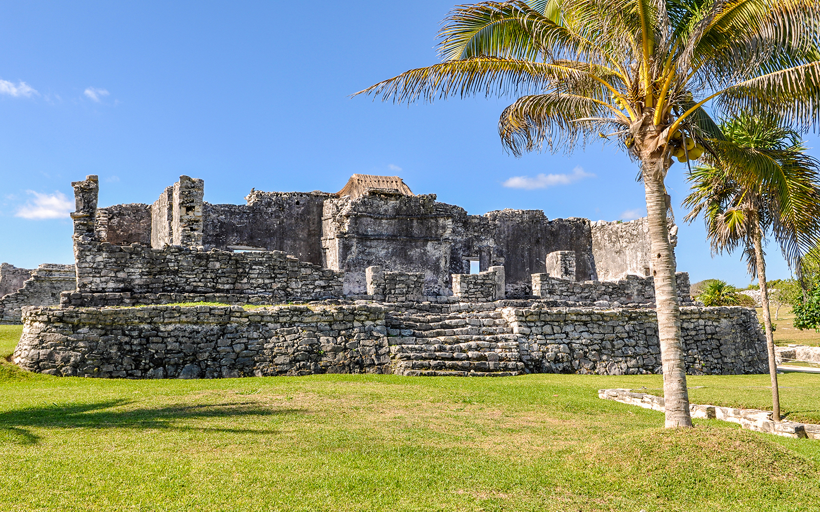 Tulum ruins with palm tree under blue sky, part of 4x1 Tulum, Cobá, Buffet Lunch & Cenote tour.