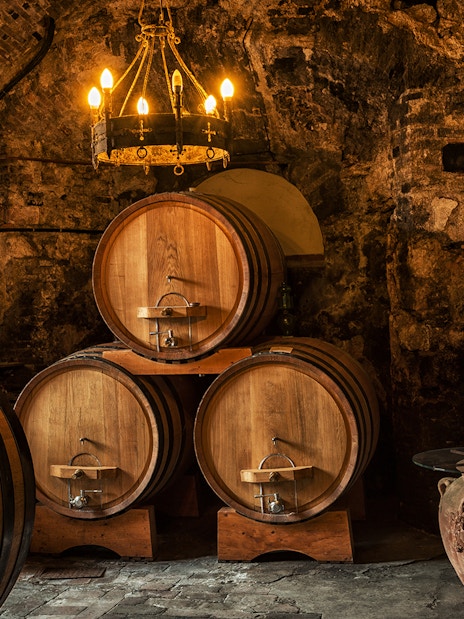 Wine barrels in a rustic Tuscan cellar on the Tuscany Wine and Olive Oil Trail tour.