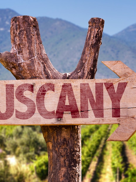 Tuscany sign with vineyard and mountains in the background.