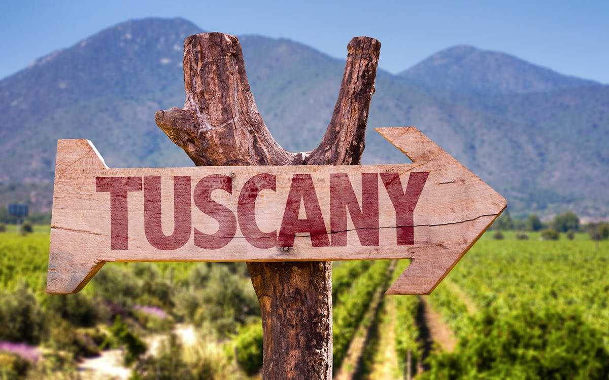 trilha de vinho e azeite de oliva da toscana: excursão em grupo pequeno saindo de florença-7 trilha de vinho e azeite de oliva da toscana: excursão em grupo pequeno saindo de florença-7