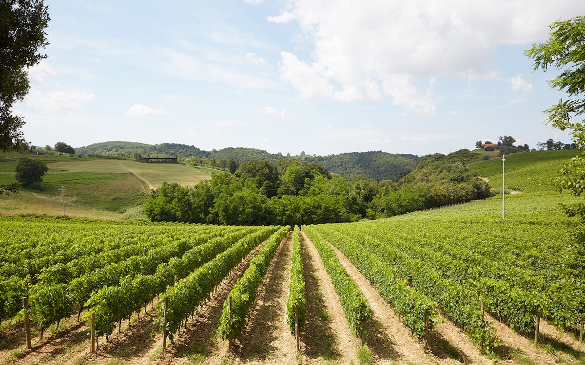 trilha de vinho e azeite de oliva da toscana: excursão em grupo pequeno saindo de florença-6 trilha de vinho e azeite de oliva da toscana: excursão em grupo pequeno saindo de florença-6