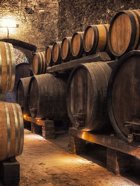 Wine barrels in a Tuscan cellar on the Tuscany Wine and Olive Oil Trail tour from Florence.