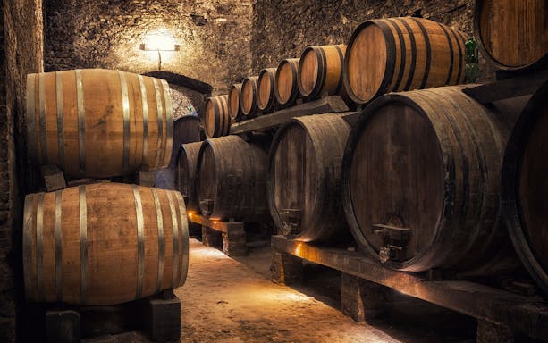 Wine barrels in a Tuscan cellar on the Tuscany Wine and Olive Oil Trail tour from Florence.