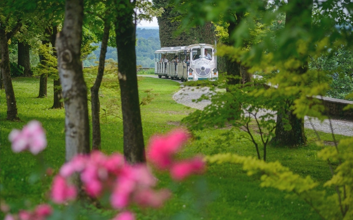 Tourist train in Parco Giardino Sigurtà surrounded by lush greenery.