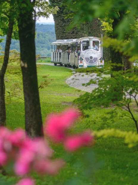 Tourist train in Parco Giardino Sigurtà surrounded by lush greenery.