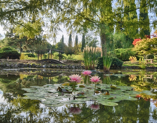 Water Gardens